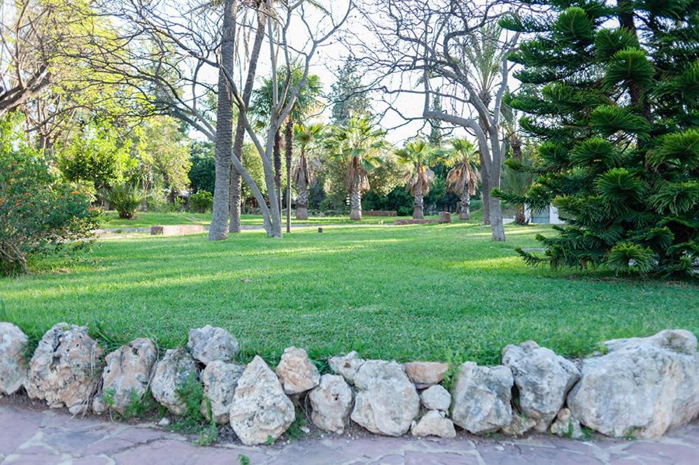 Entrenaranjos Holiday home Picassent